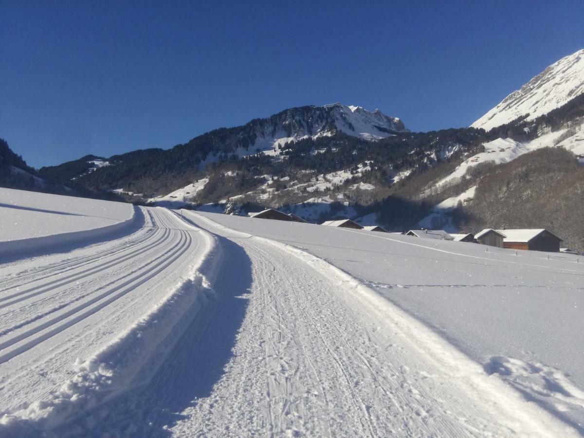 Gaestehaus Pfandl Au (Vorarlberg) Екстер'єр фото